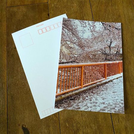 絵はがき・白（４枚入り）